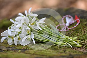 Snowdrops, 1st of March tradition white and red cord martisor