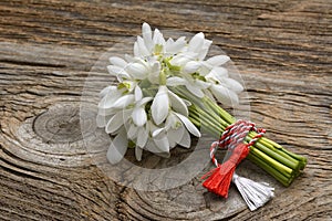 Snowdrops, 1st of March tradition white and red cord martisor isolated on wooden background