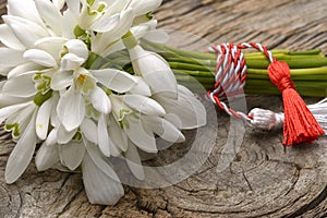 Snowdrops bunch on wooden background.