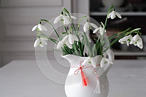 Snowdrops Close-up and Spring Symbol