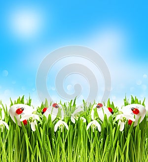 Snowdrops and easter eggs with blurred background