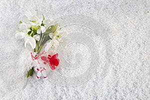 Snowdrops flowers with a red and white martenitsa on a snow background. Martisor and Baba Marta.