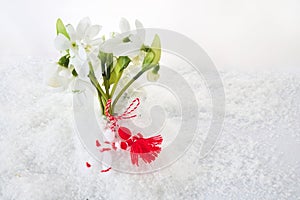 Snowdrops flowers with a red and white martenitsa on a snow background. Martisor and Baba Marta.