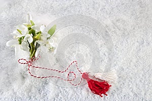 Snowdrops flowers with a red and white martenitsa on a snow background. Martisor and Baba Marta.