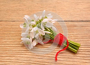 Snowdrops isolated on wooden background