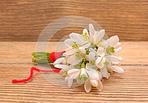 Snowdrops isolated on wooden background