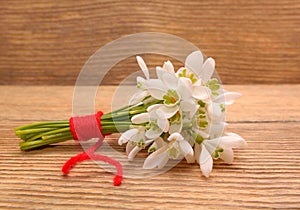 Snowdrops isolated on wooden background