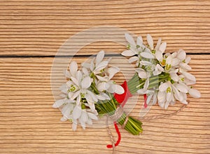 Snowdrops isolated on wooden background