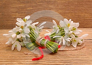 Snowdrops isolated on wooden background