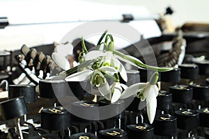 Snowdrops lie on the keyboard of an old typewriter, close-up, space for text