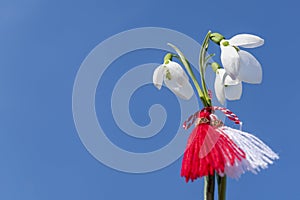 Snowdrops and martenitsa and blue sky. March 1st tradition martisor. Bulgarian holiday of Baba Marta. Copy space