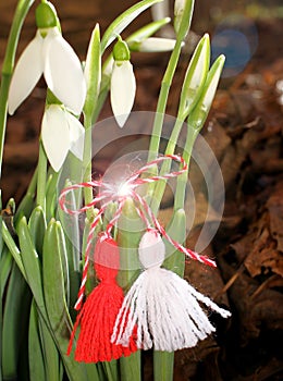 Snowdrops and martenitsa. Symbols of spring. White snowdrop flowers and martisor. Baba Marta