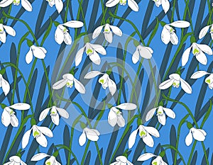Snowdrops spring seamless background. Hand-drawn