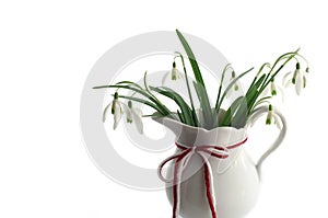 Snowdrops with Traditional Red White Cord