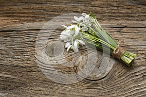 Snowdrops on wooden table