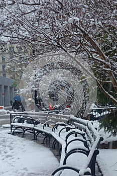 Snowed Benches