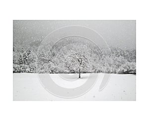 Snowed ladscape in Pyrenees, Spain