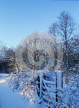 Snowey Gate