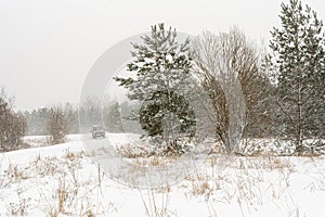 Snowfall and blizzard in the forest. Trees in the snow. Winter nature. The car drives along a snowy forest road