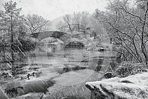 Snowfall in Central park. Gapstow bridge during winter, Central Park, New York City . USA