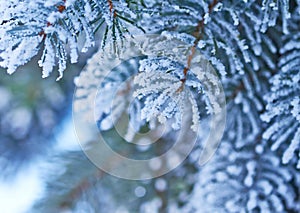 Snowfall on Christmas tree