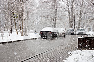 snowfall in the city in winter