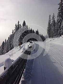 Snowfall , Der Dachstein Area ustria, Ramsau skilslope