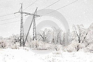 Snowfall at the forest edge. Winter landscape