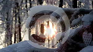 Snowfall in the forest, fir branch with a Christmas toy sways in the wind