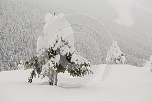 Snowfall in the hills of Soldeu, Andorra