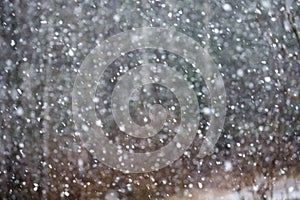 Snowfall. Image of snow blizzard. photo