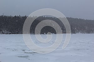 A snowfall over a frozen bay in Canada with a forest of evergreen trees