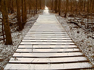 Snowfall over Hiking Boardwalk