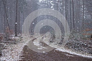 Snowfall over road in German forest