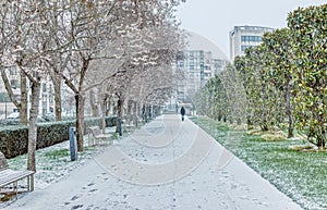 Snowfall on Parc Andre Citroen in Paris