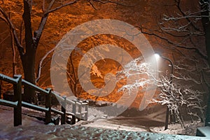 Snowfall at park of Namsan tower of Seoul Korea