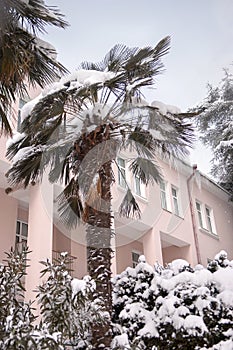 Snowfall in the park