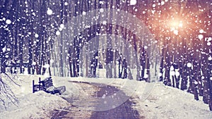 Snowfall in silent winter park at bright sunset. Snowflakes falling on snowy alley. Christmas and New Year theme. Xmas background.