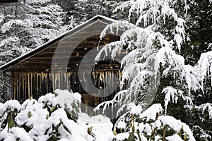 A snowfall surrounds a building in the Great Smoky Mountains.