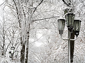 Snowfall in the town Vladivostok