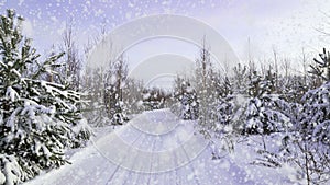 Snowfall in the winter forest, on the ski track. way, road, track