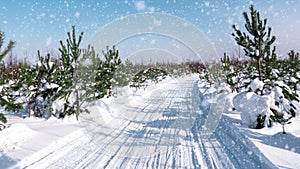 Snowfall in the winter forest, on the ski track. way, road, track