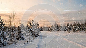 Snowfall in the winter forest at sunset, on the ski track. way, road, path