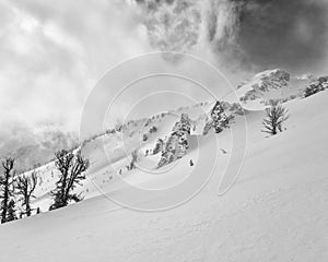 Snowfield leading to albright peak photo