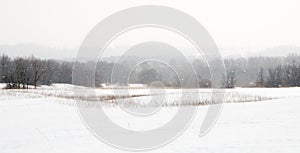 Snowfield in snowstorm