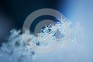 Snowflake background, frozen winter. Closeup, macro