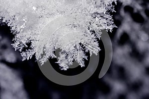 snowflake backgrounds