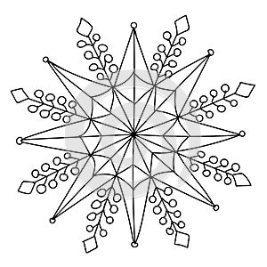 Snowflake with berries, illustration