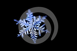 Snowflake on black background closeup