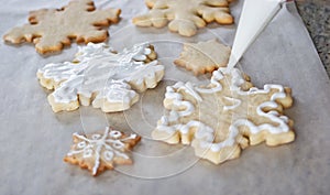 Snowflake cookie background